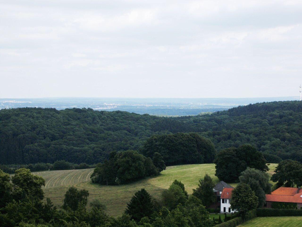 Poldergebied