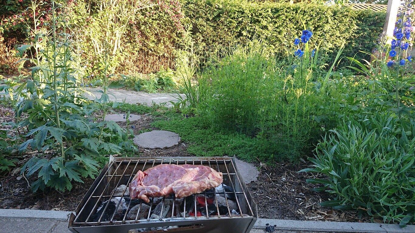 Rib-eye steak