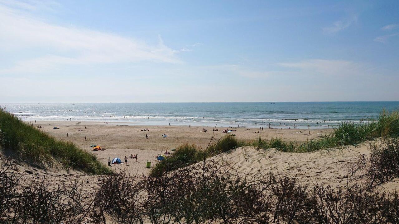 Parnassia aan Zee