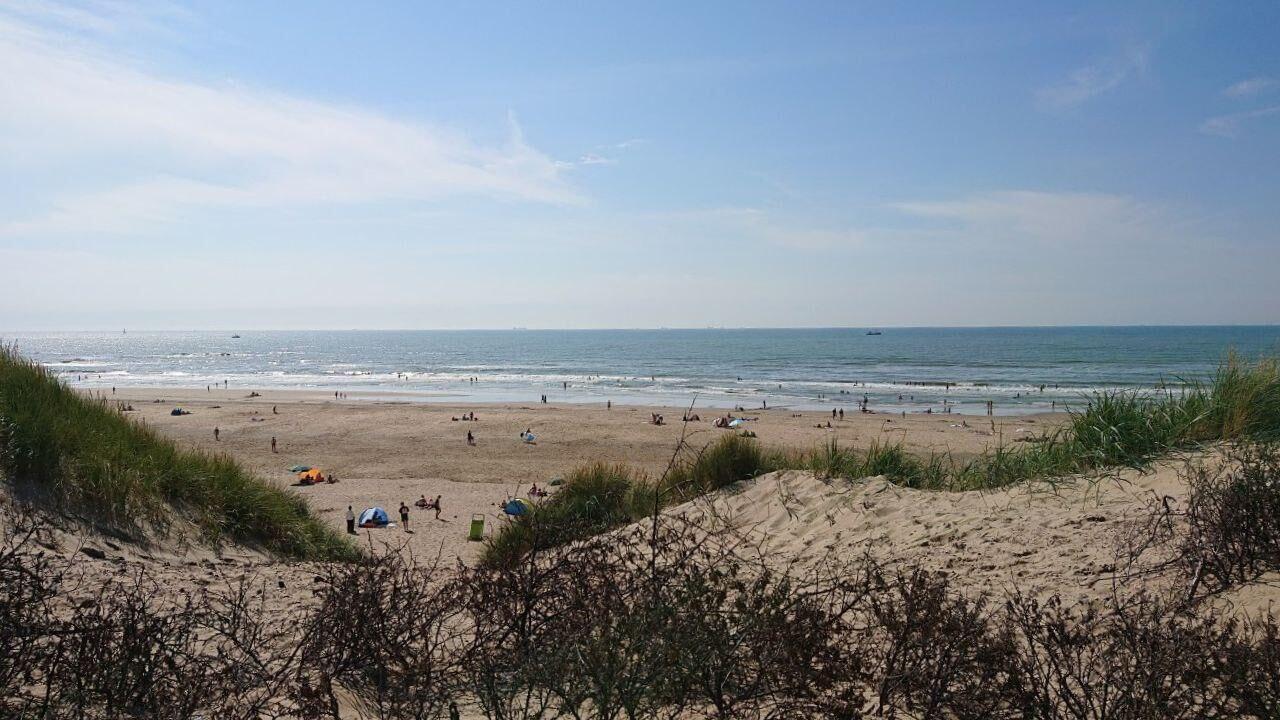 Waddengebied