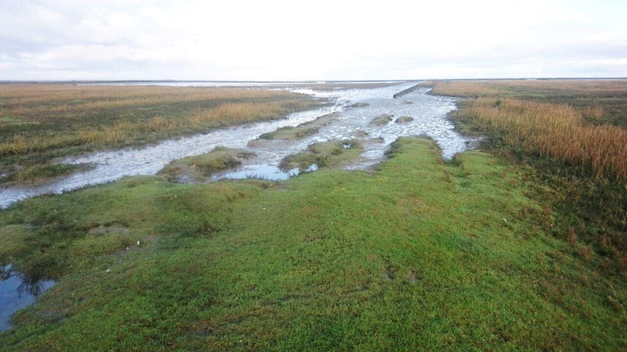 Landscape north netherlands wad