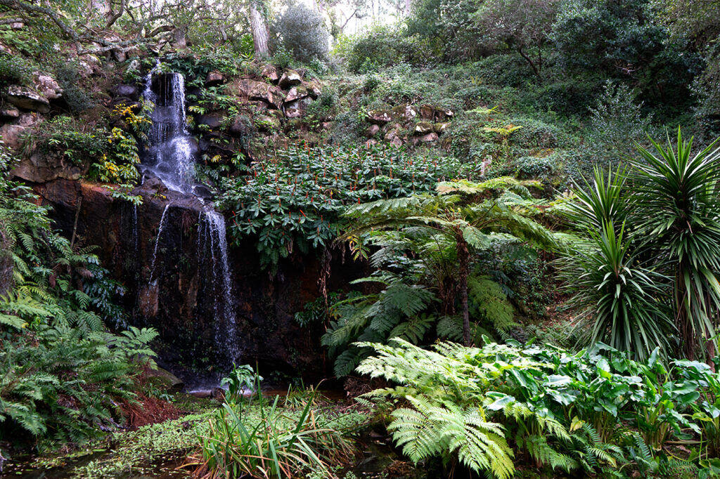 Parque monserrate sintra