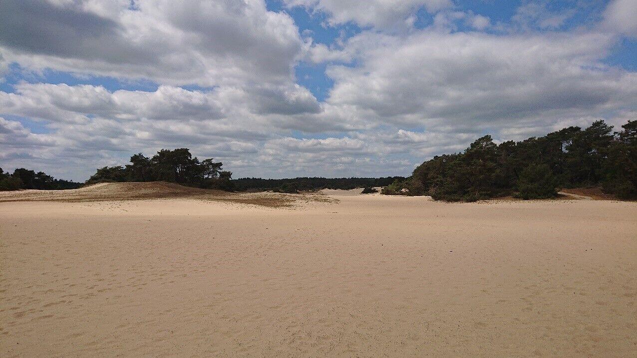 Wekeromse Zand