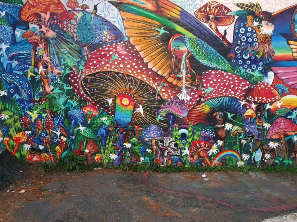 Zes maanden Brazilië — image