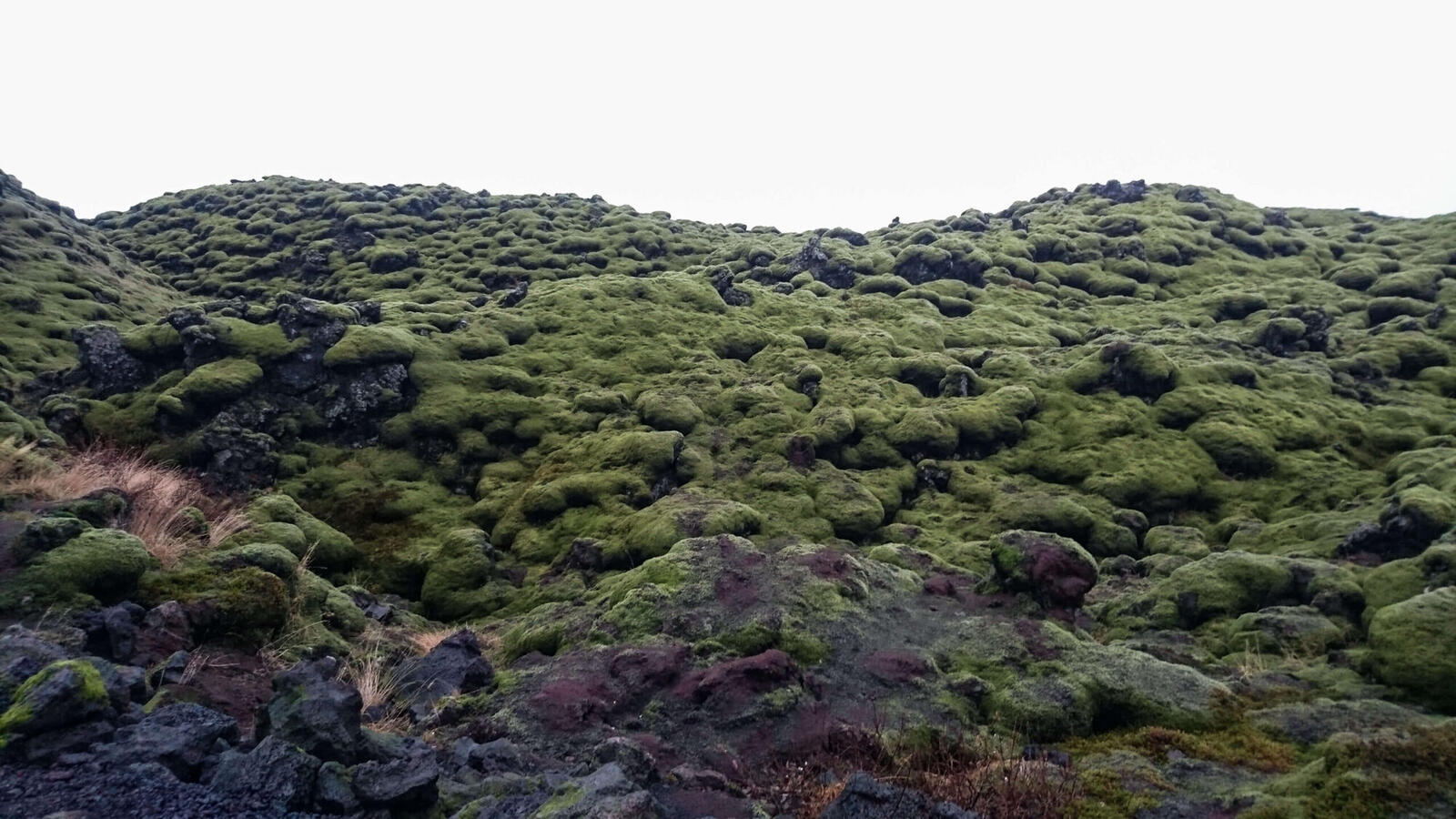 Lavavelden