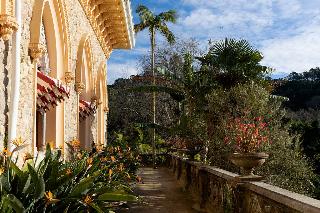 Palacio en Parque de Monserrate met vele paradijsvogelbloemen
