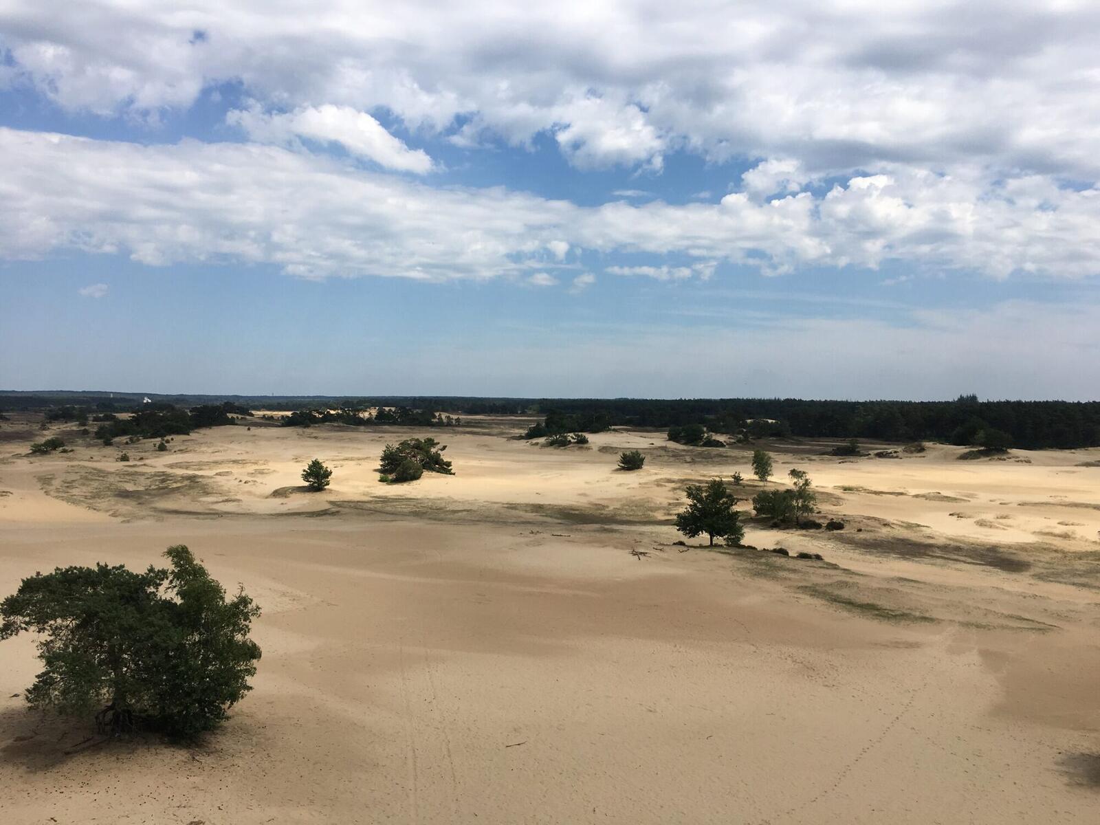 Kootwijker Zand