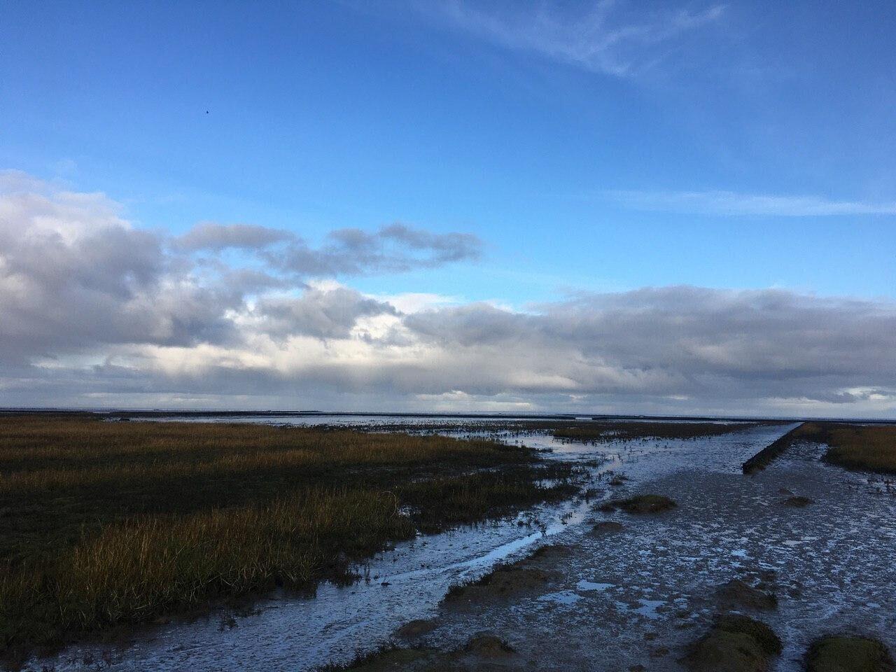 Zuid Nederland