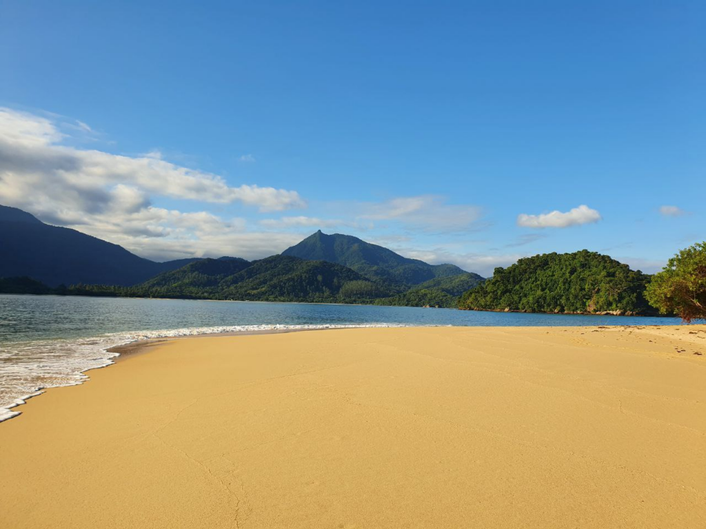 Zes maanden Brazilië — image
