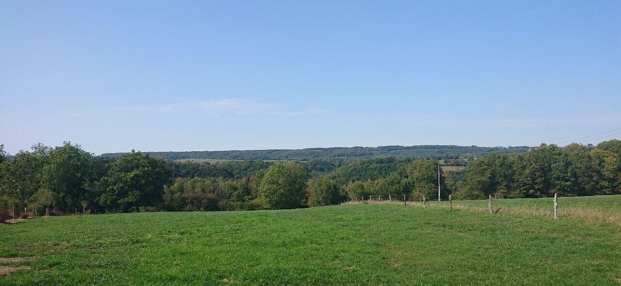 De Ardennen: outdoor paradijs