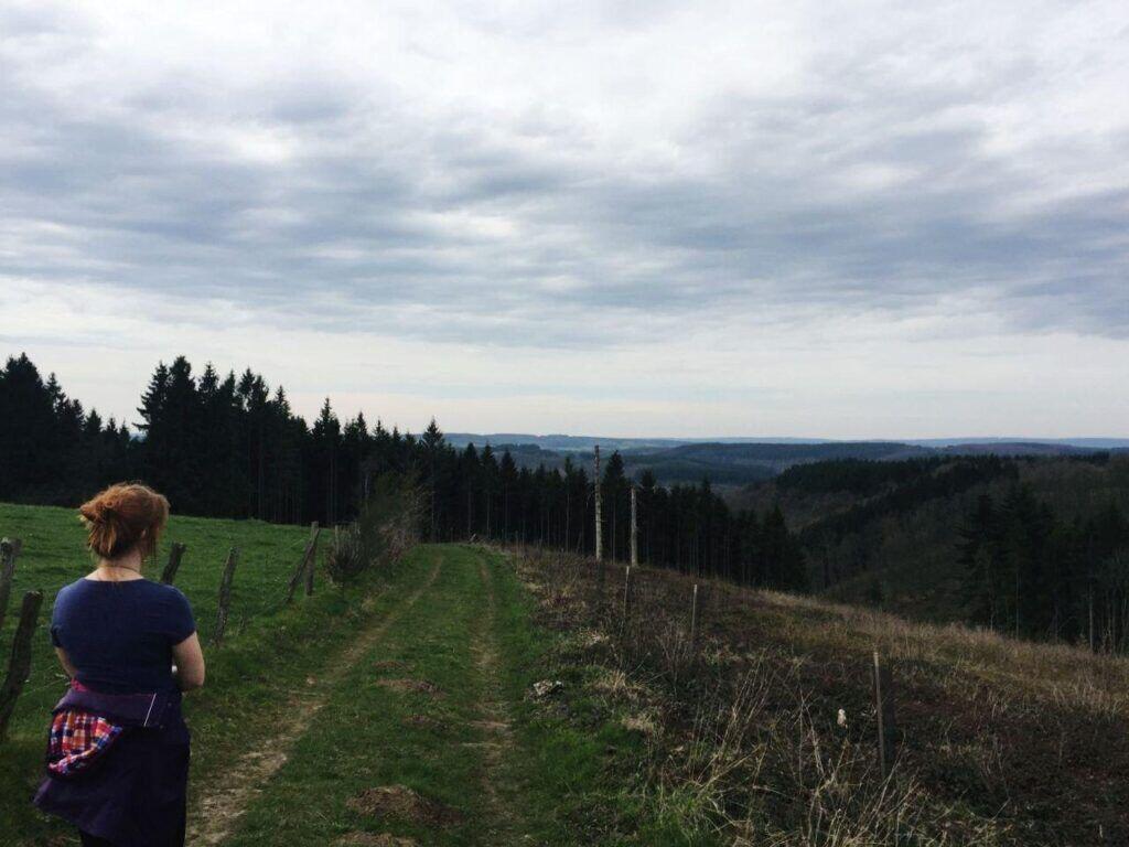 Viewpoint Ardennes