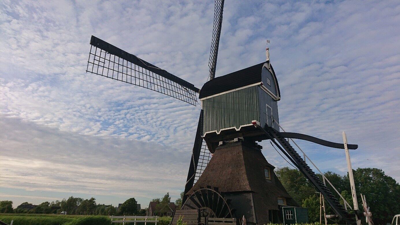 Dag 7 Zaterdag: wandelen door de polder en meuk verzamelen