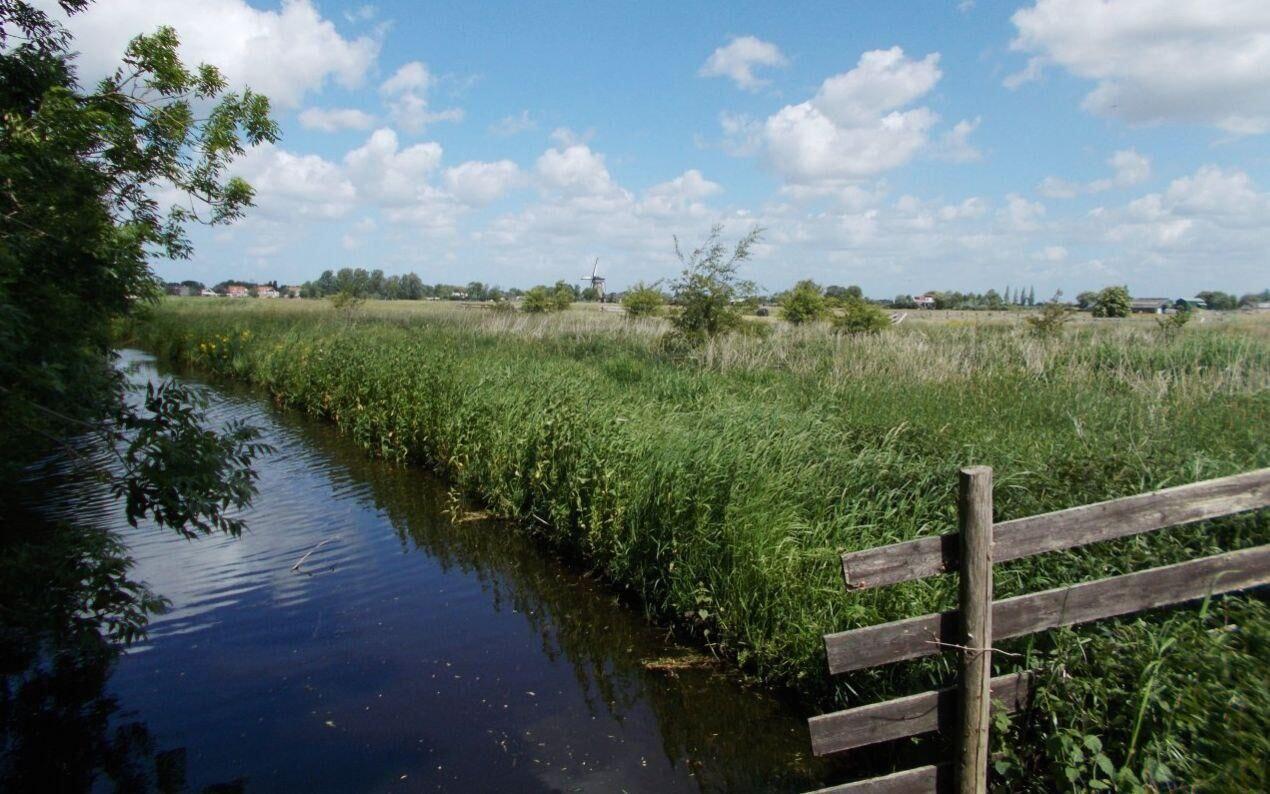 Kortom