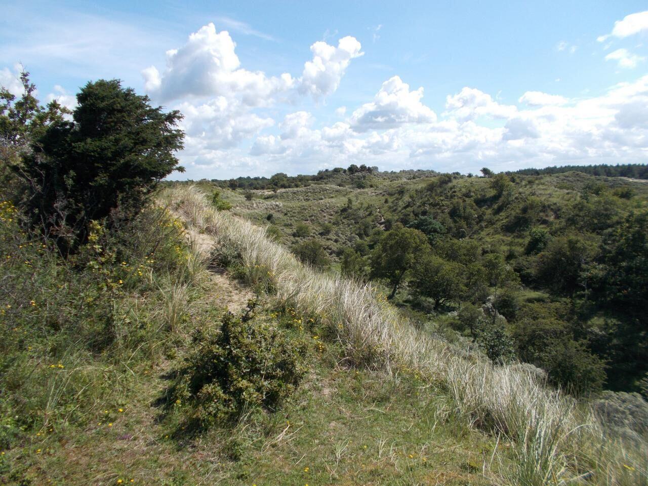 Waddengebied