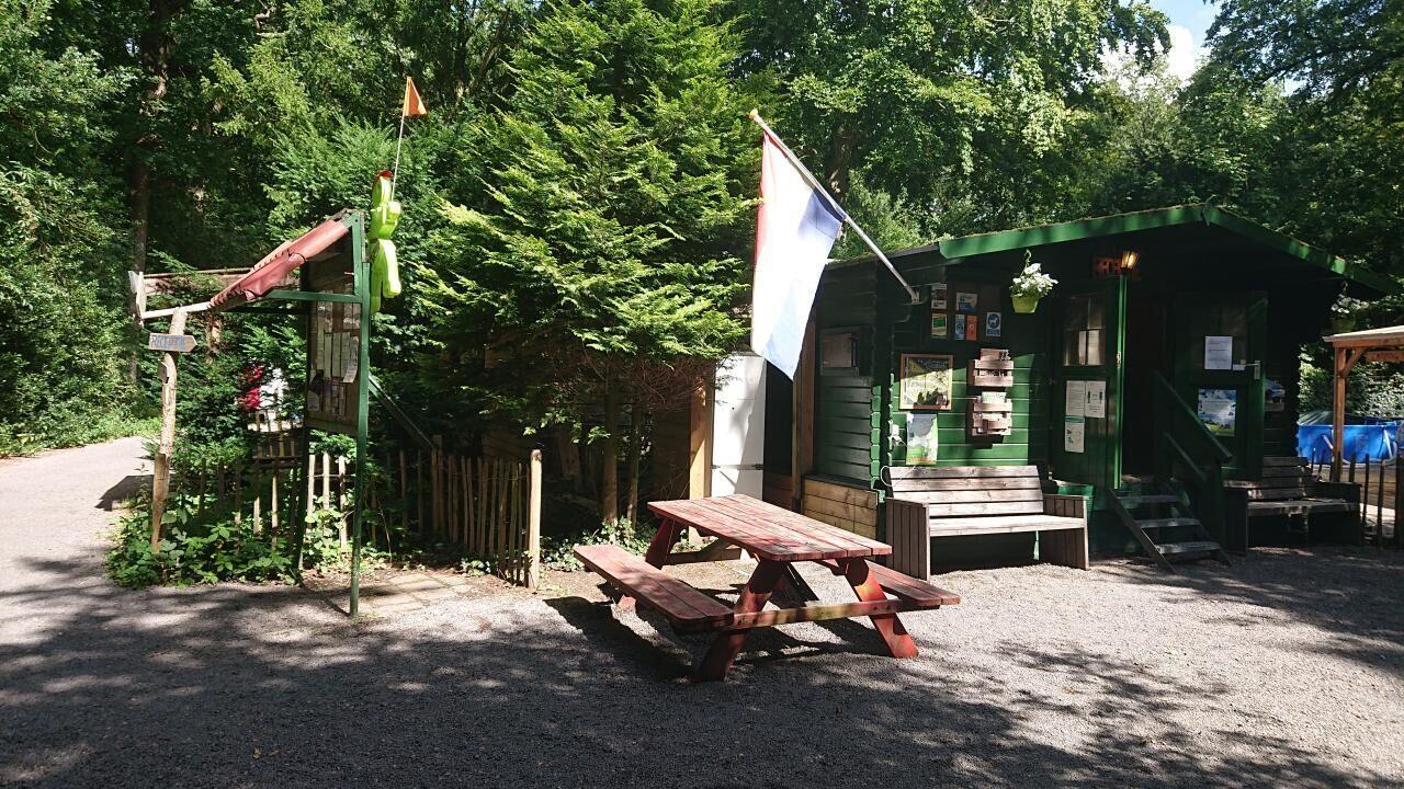 Dagje Haarlem