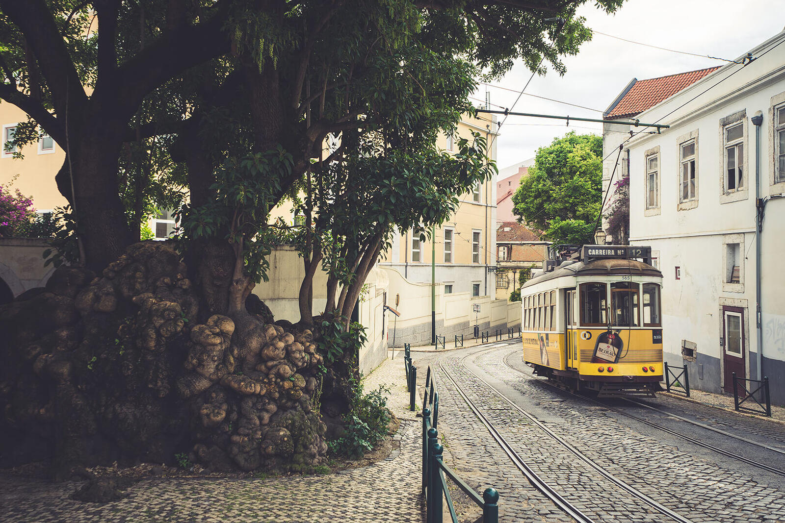 Emigratie naar Portugal!